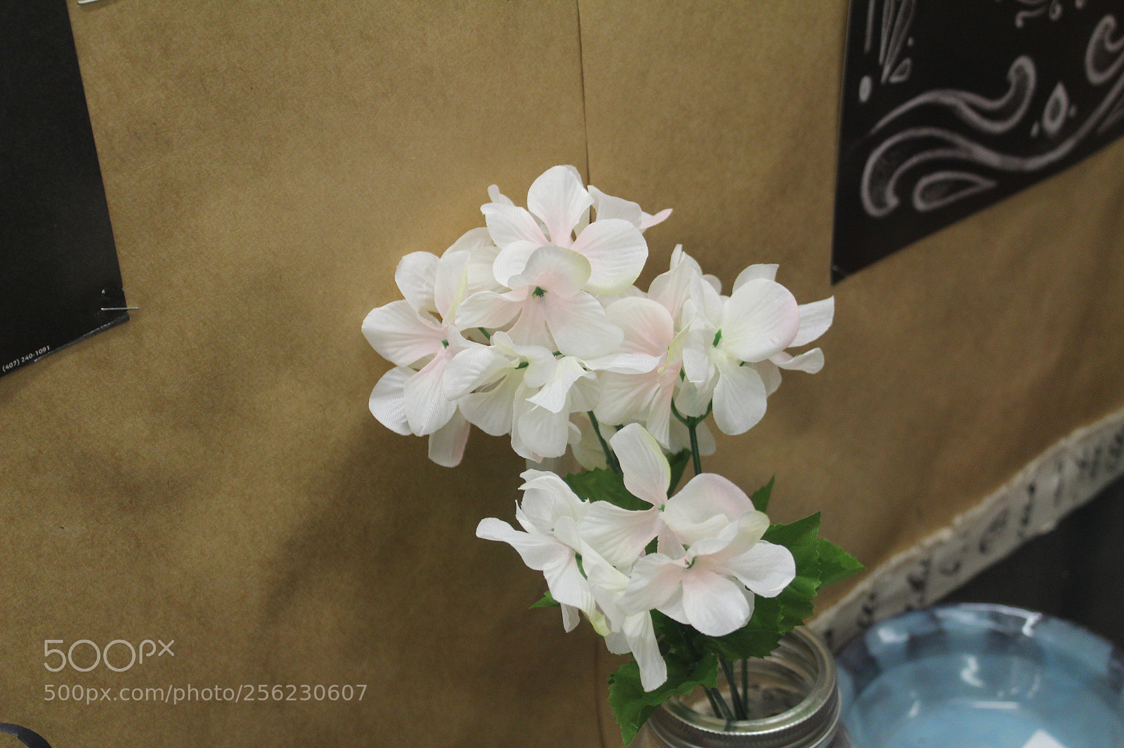 Canon EOS 1300D (EOS Rebel T6 / EOS Kiss X80) sample photo. Img photography