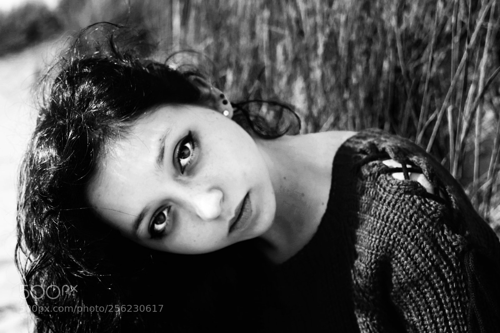 Nikon D5300 sample photo. Untitled photography