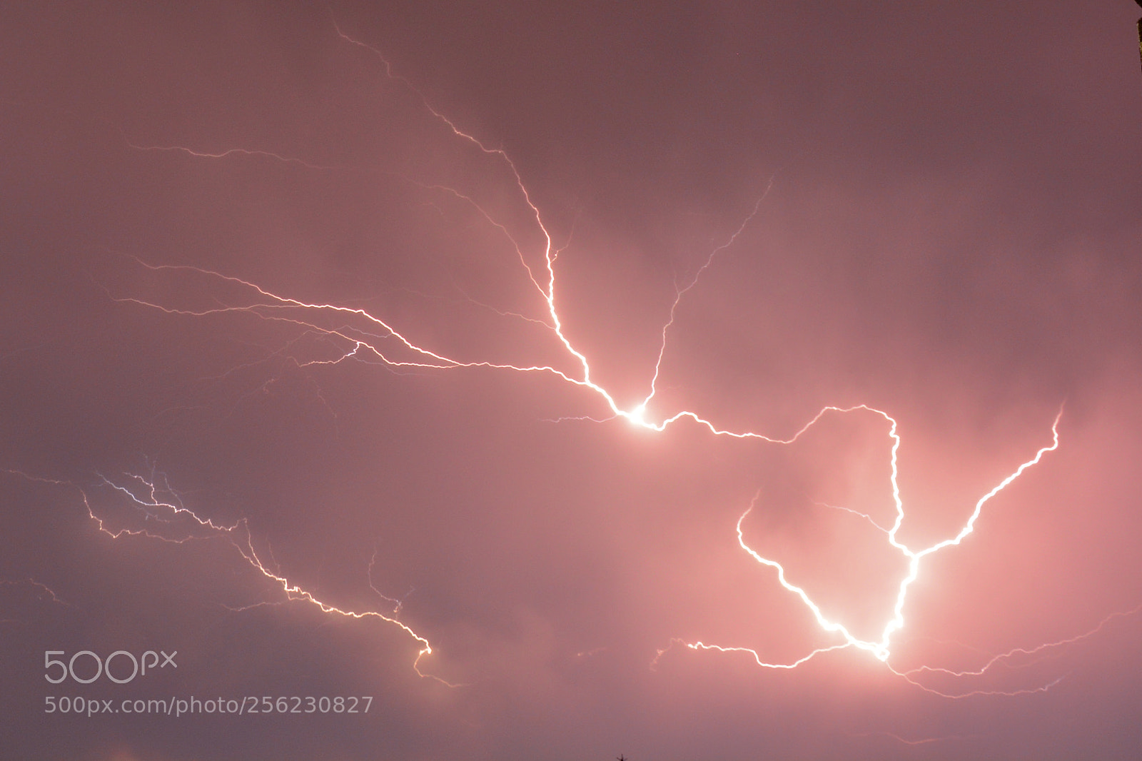 Nikon D7100 sample photo. Lightning series photography