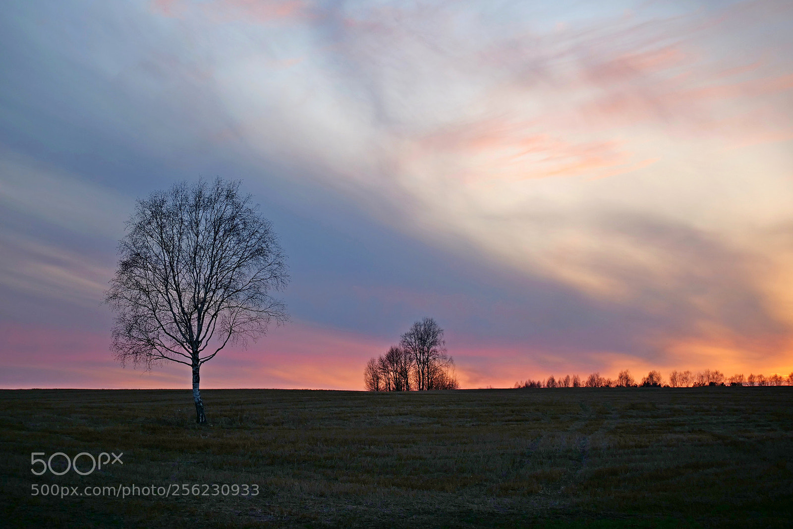 Panasonic Lumix DC-G9 sample photo. Sunset photography