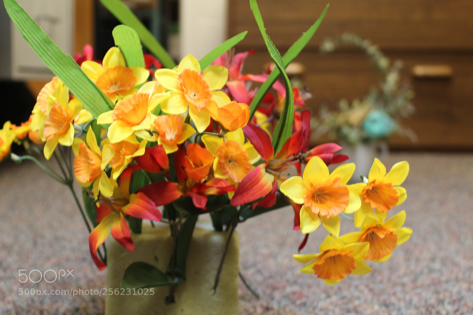 Canon EOS 1300D (EOS Rebel T6 / EOS Kiss X80) sample photo. One plant, two plant photography