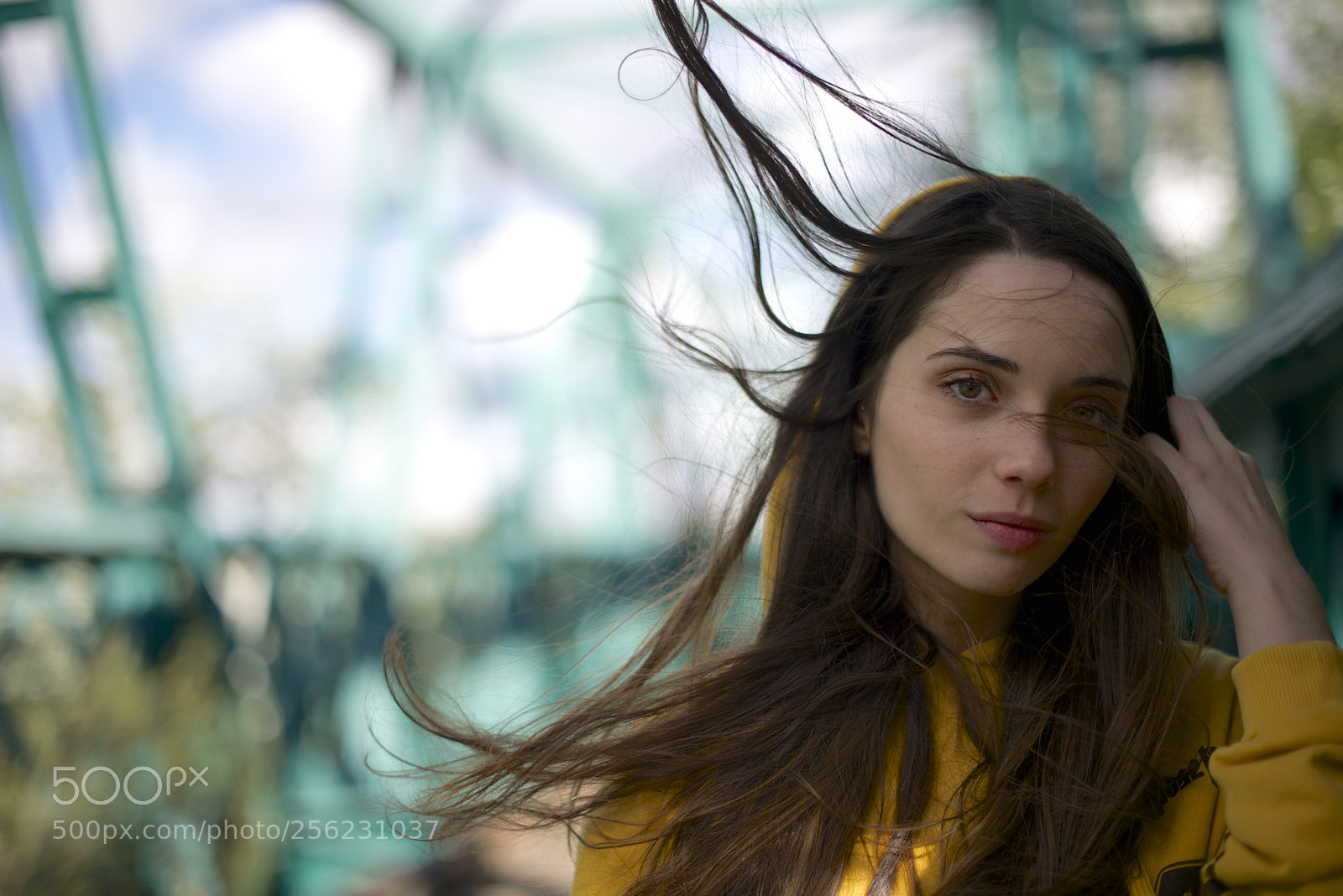 Nikon D800 sample photo. Puente verde iii photography