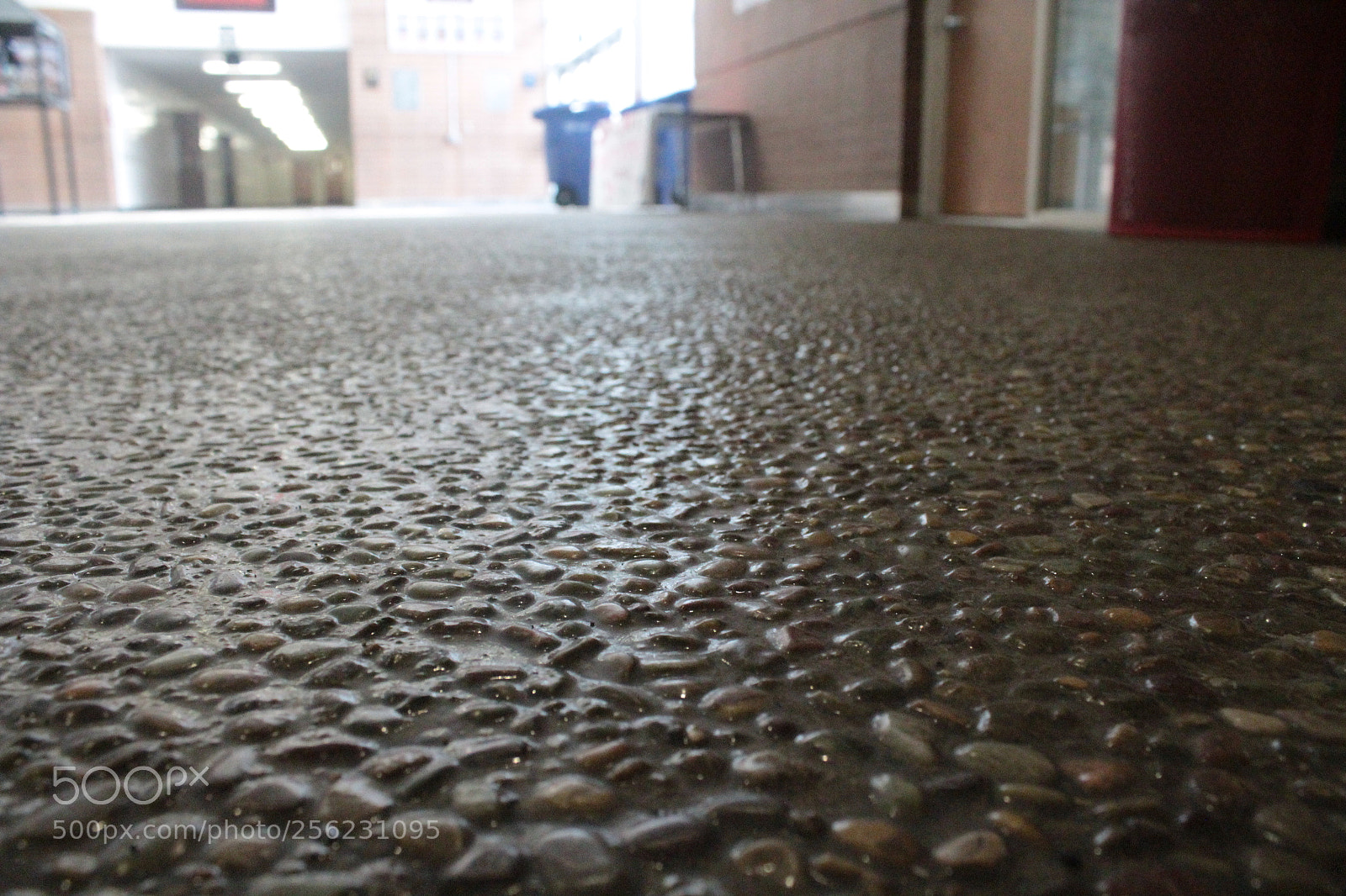 Canon EOS 1200D (EOS Rebel T5 / EOS Kiss X70 / EOS Hi) sample photo. Rock floor photography