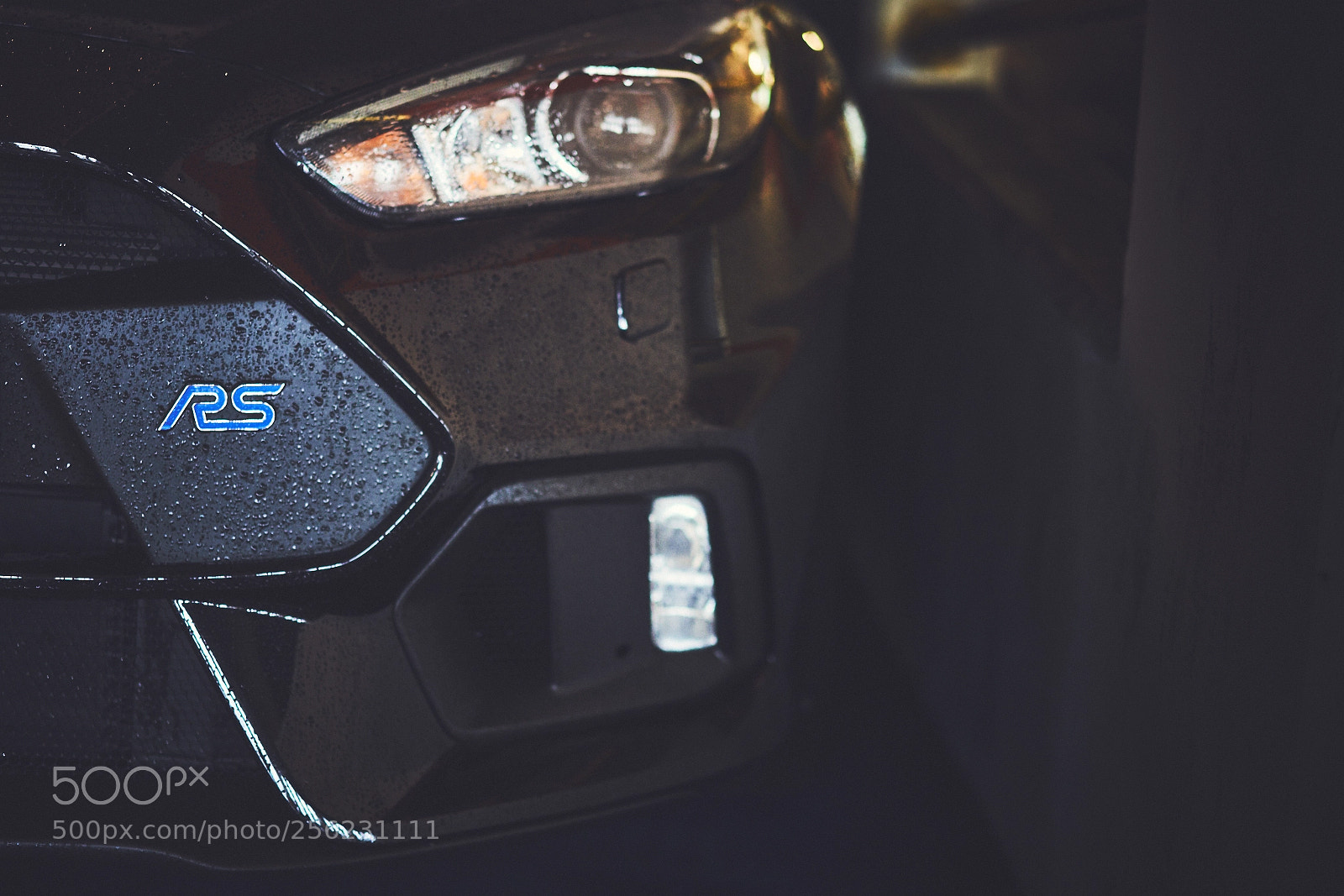 Sony a7R III sample photo. Day one hundred twenty photography