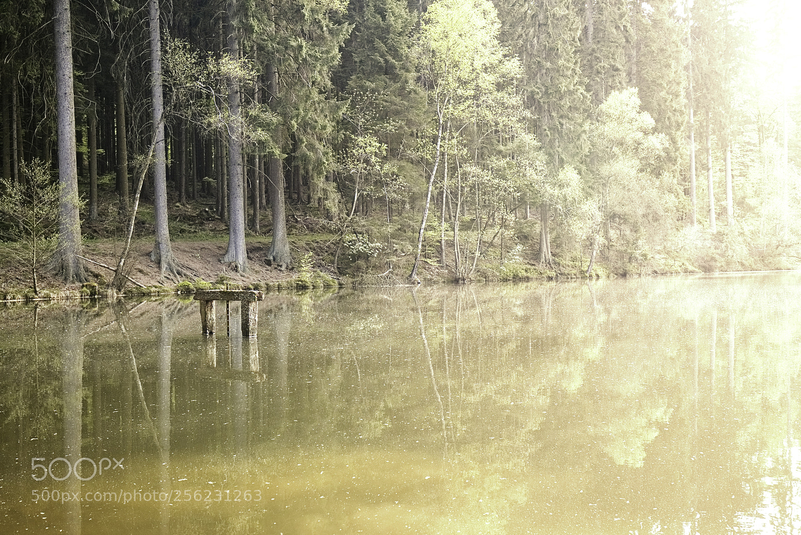 Canon EOS 6D sample photo. Teich forsthaus dietzhölze photography