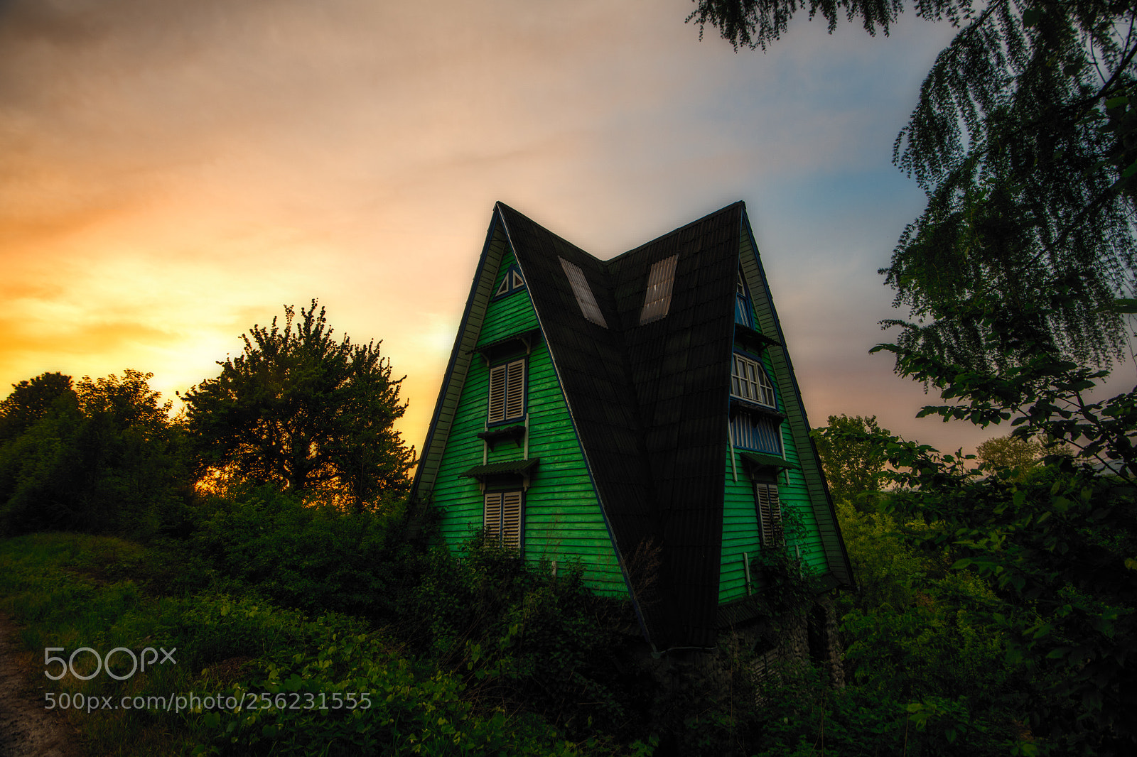 Nikon D850 sample photo. Green house photography