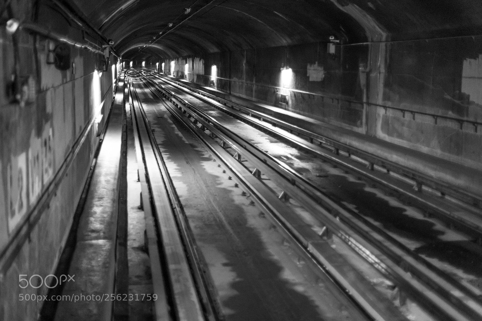 Canon EOS 6D sample photo. Metro stalker photography