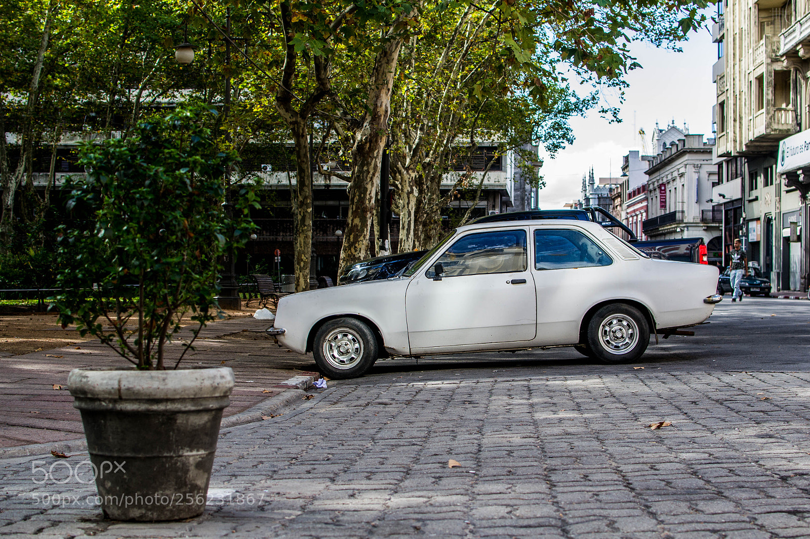 Nikon D3100 sample photo. White car photography