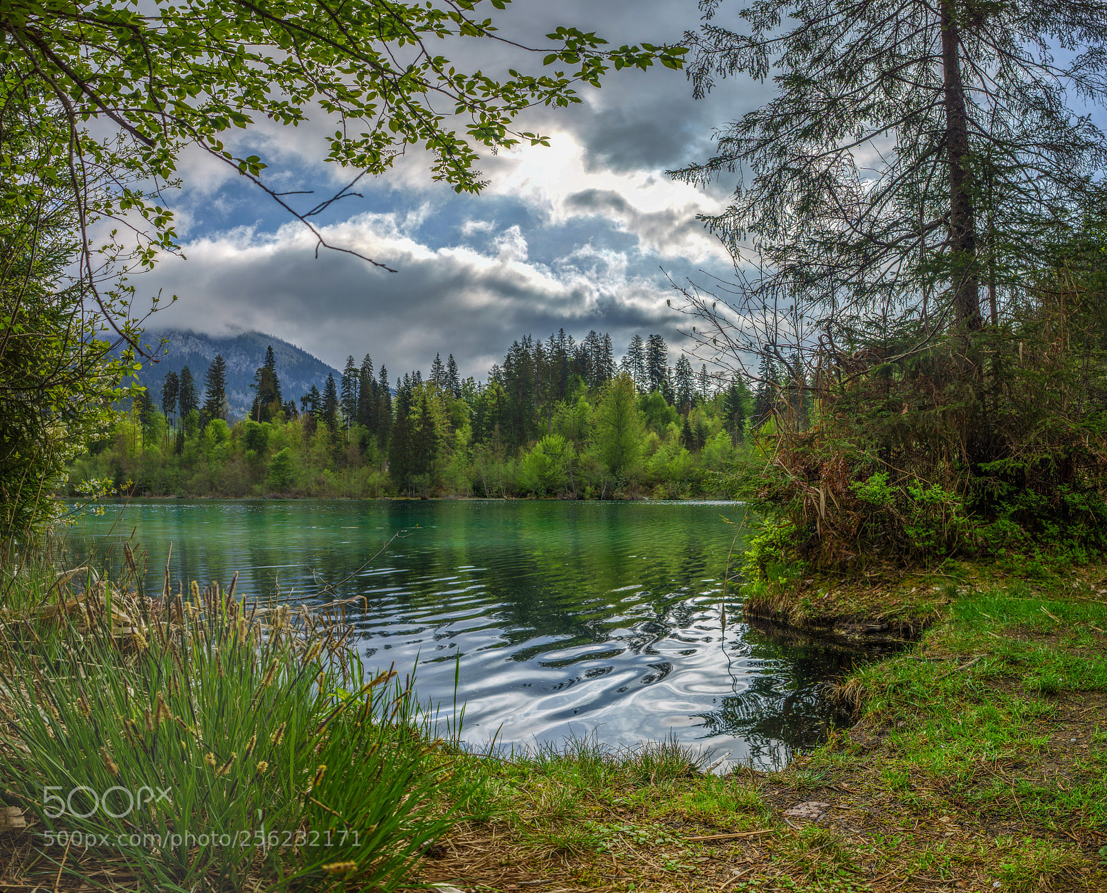Sony a7 II sample photo. @thelake photography
