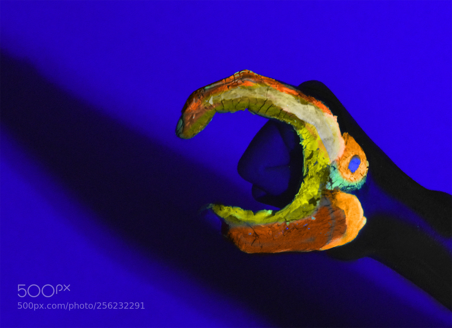 Nikon D3200 sample photo. Toucan x photography
