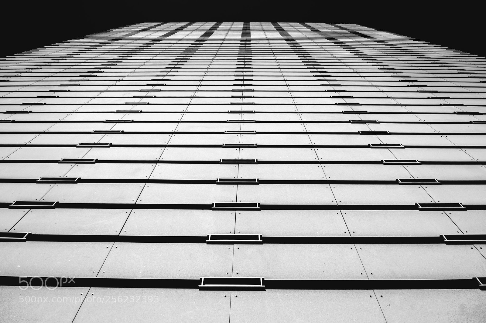 Nikon D3300 sample photo. Looking up.. photography