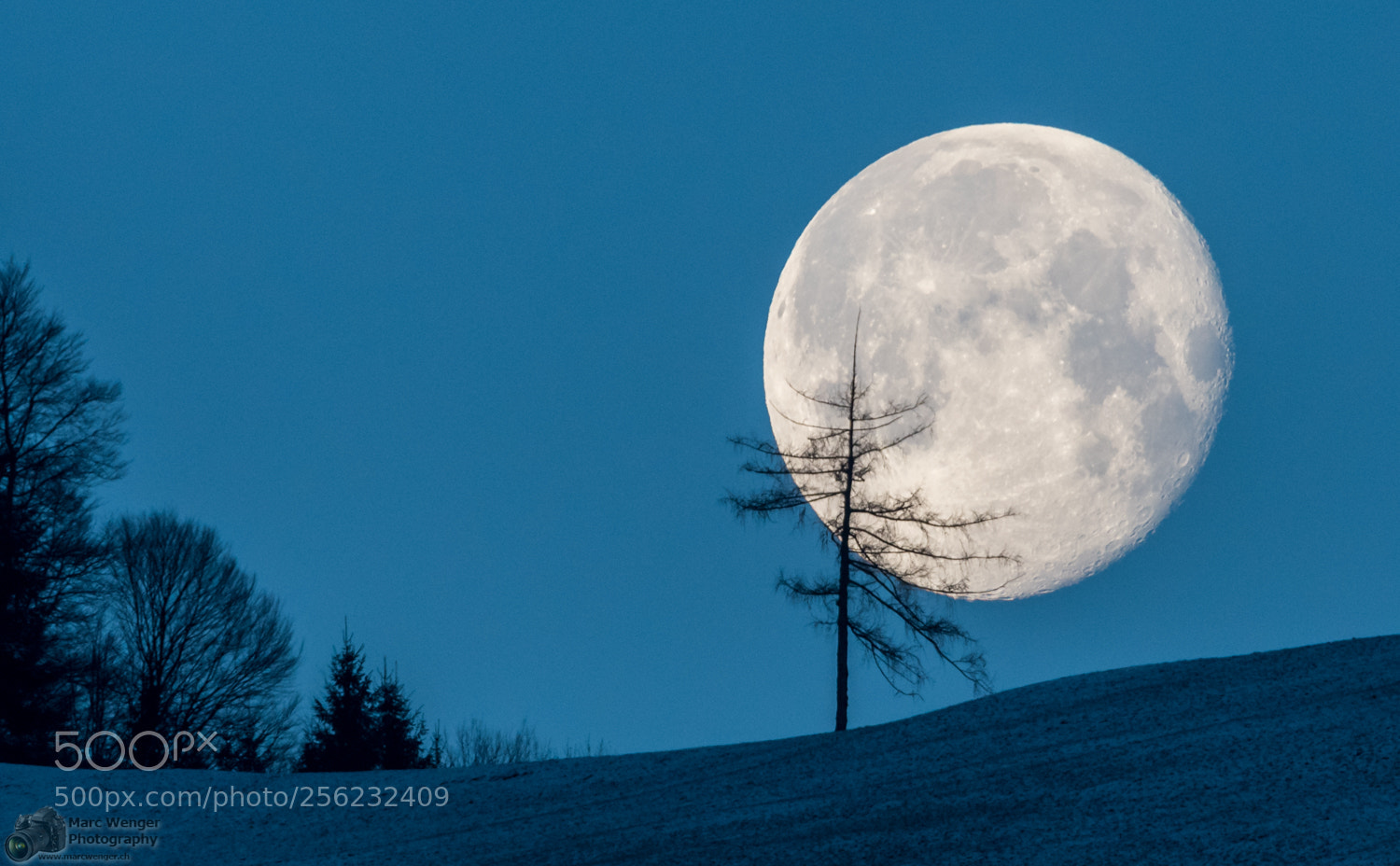 Nikon D500 sample photo. Moon set photography