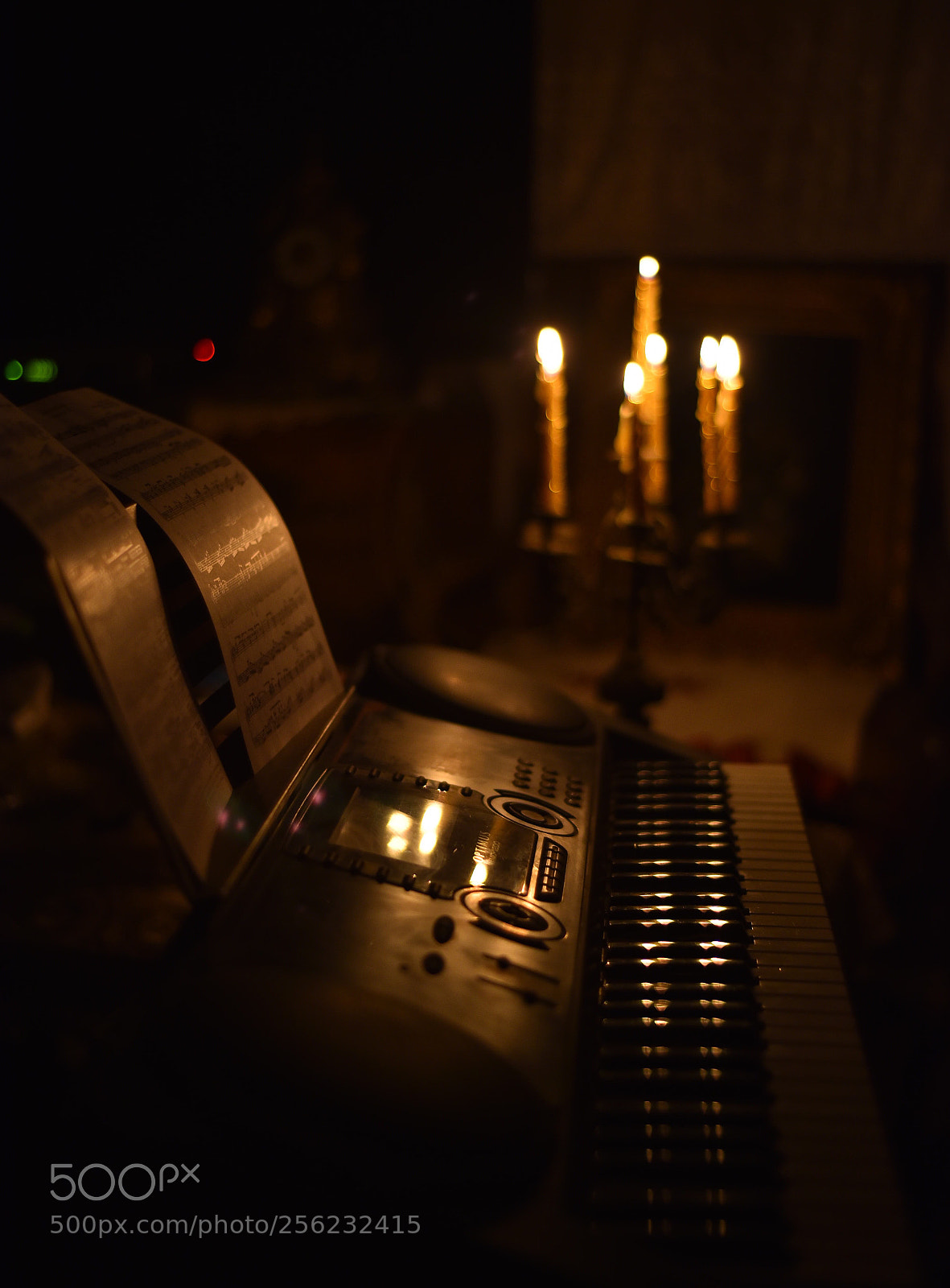 Nikon D750 sample photo. Untitled photography