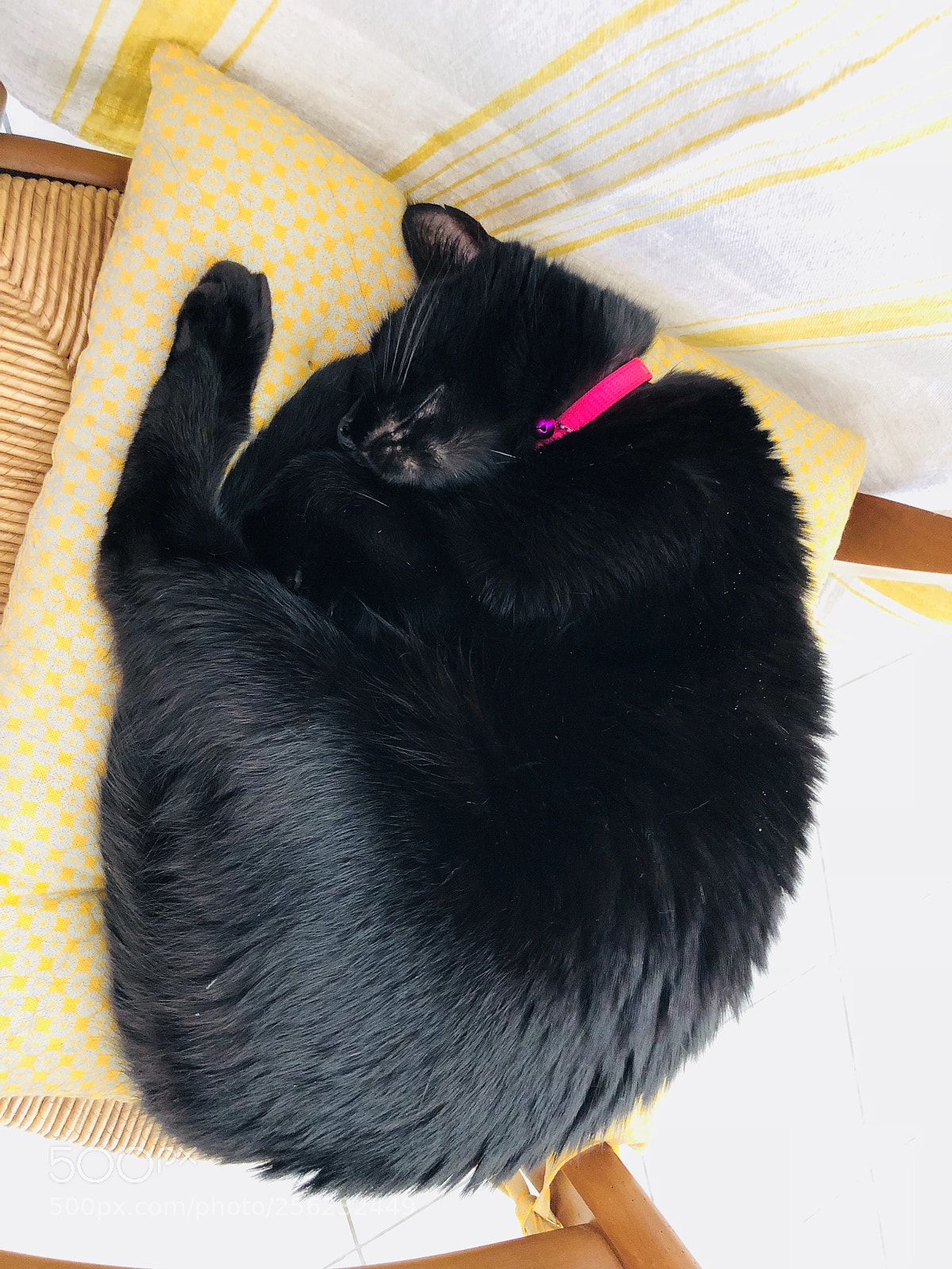 Apple iPhone X sample photo. Juliette a time for photography