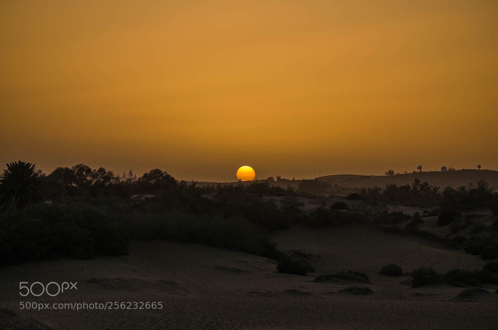 Nikon D5100 sample photo. Sunset. photography