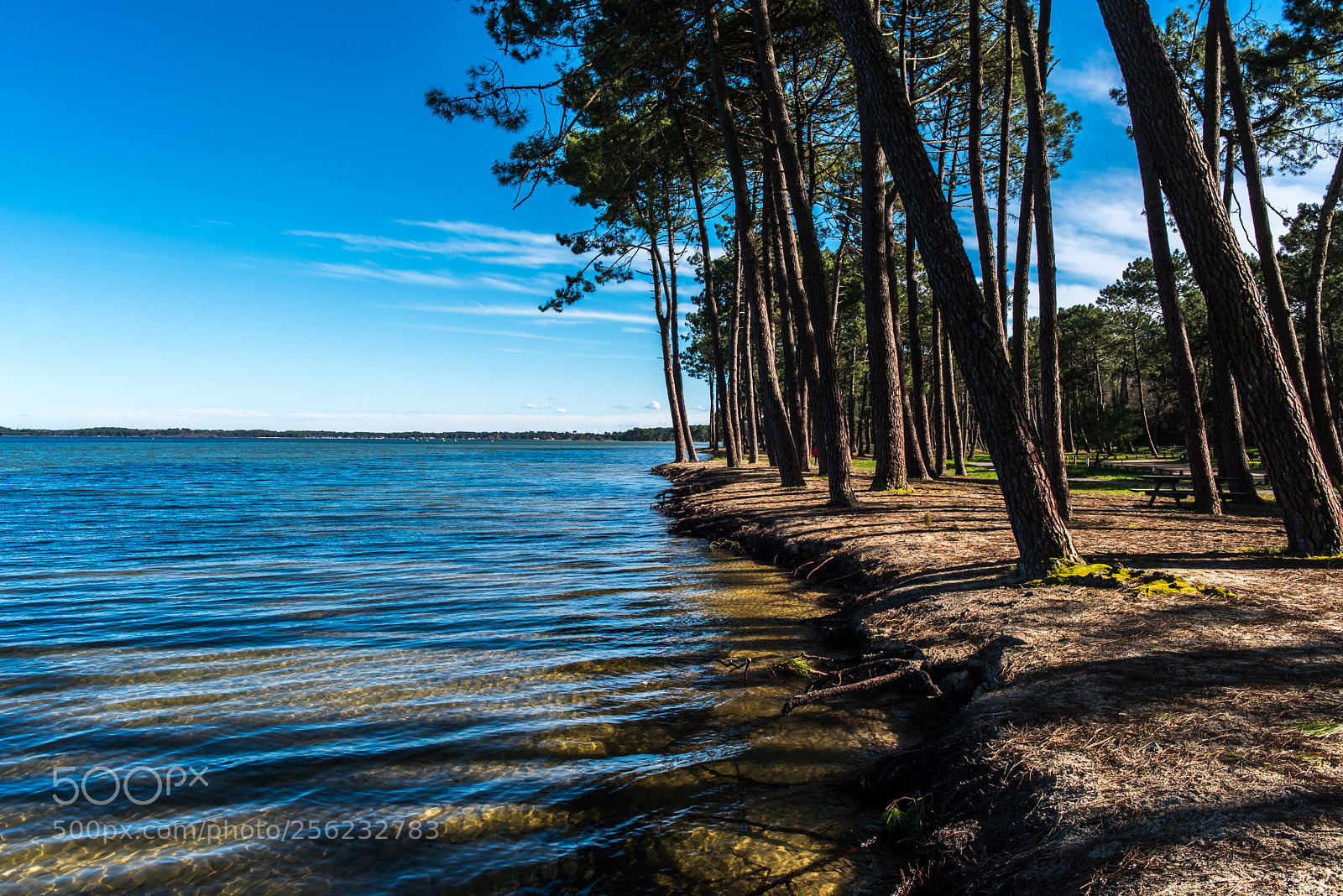 Nikon D750 sample photo. Lac de biscarrosse photography