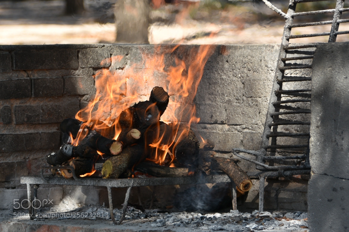 Nikon D7200 sample photo. Preparando el fuego photography