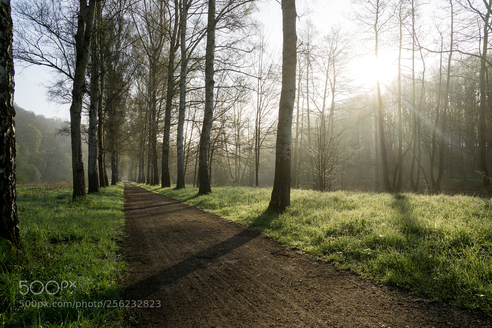 Sony a6000 sample photo. Walk at sunrise photography