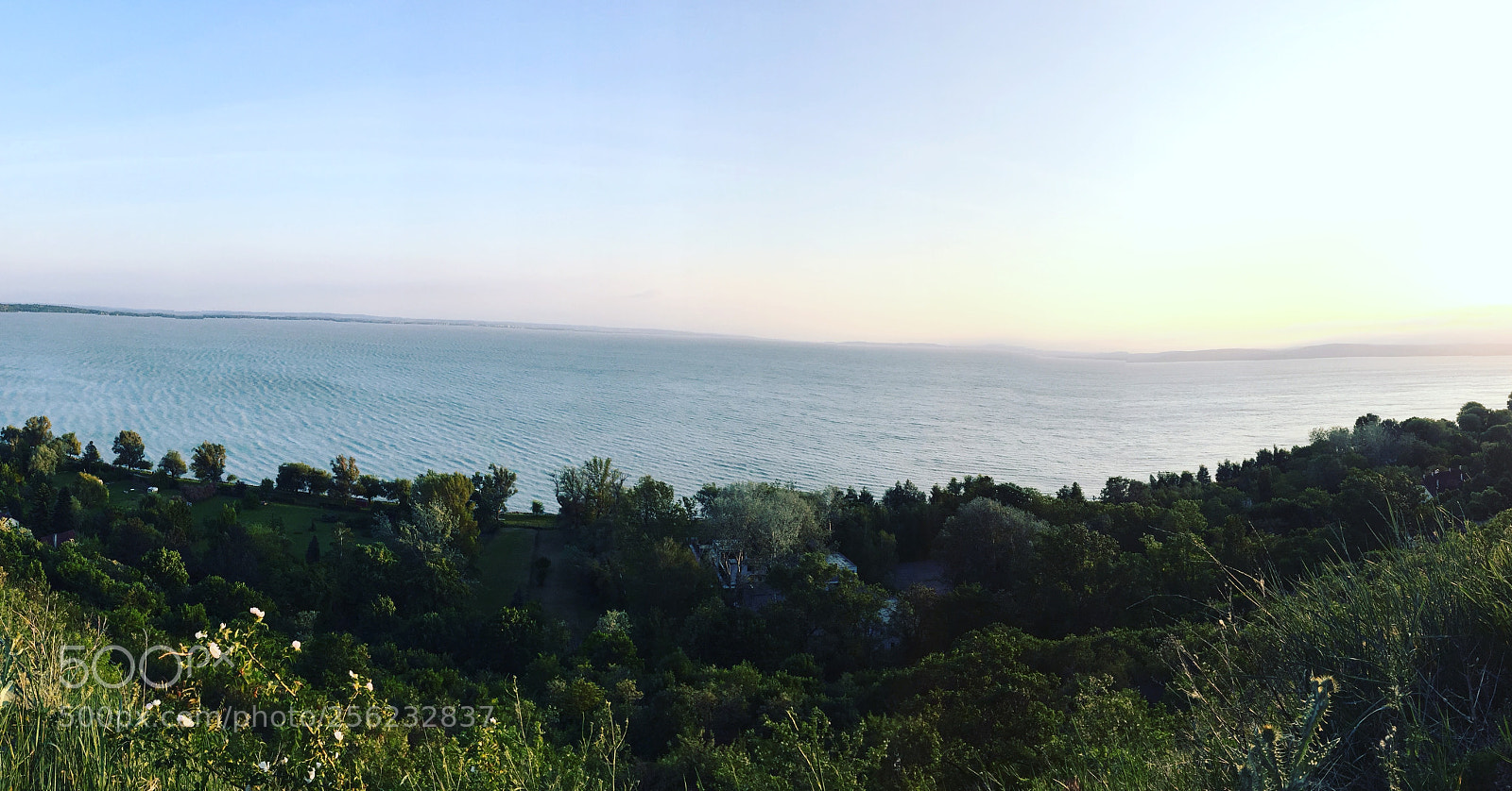 Apple iPhone 6 sample photo. Img photography