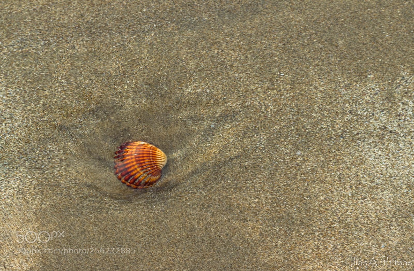 Canon EOS 600D (Rebel EOS T3i / EOS Kiss X5) sample photo. Sea and summer photography
