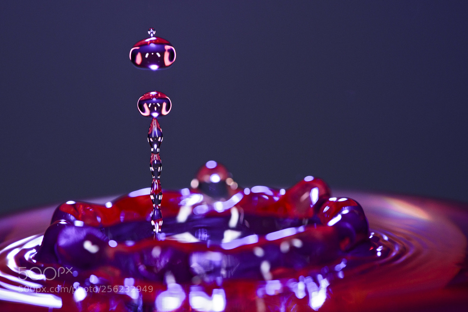 Nikon D810 sample photo. Water chain photography photography