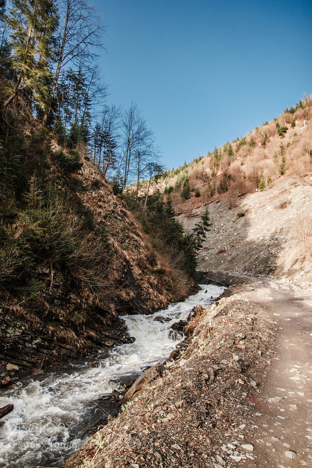 Canon EOS 550D (EOS Rebel T2i / EOS Kiss X4) sample photo. Dragobrat photography