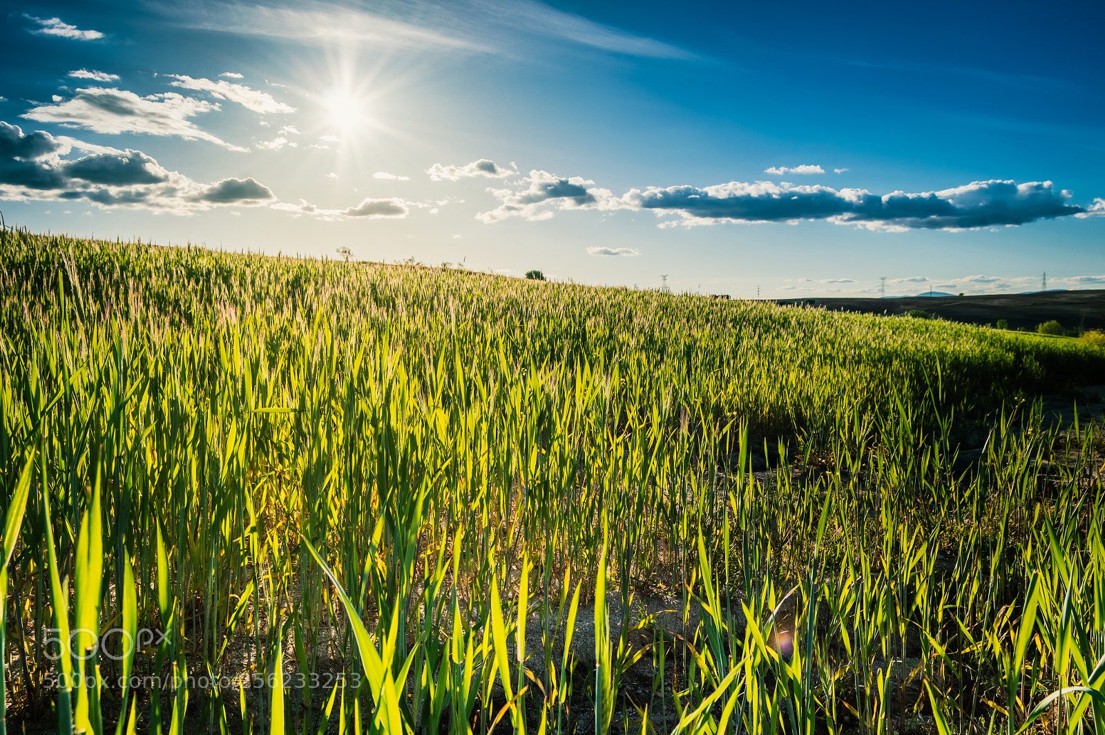 Nikon D3200 sample photo. Spring power photography