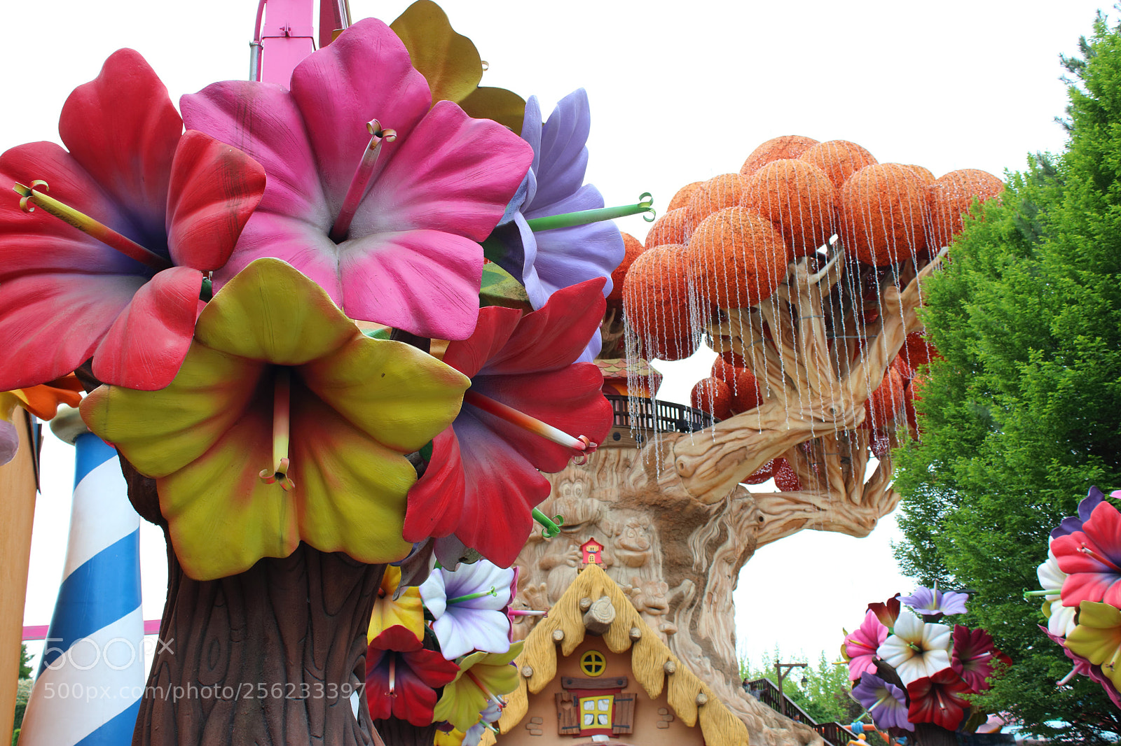Canon EOS 80D sample photo. Magic season 2018 photography
