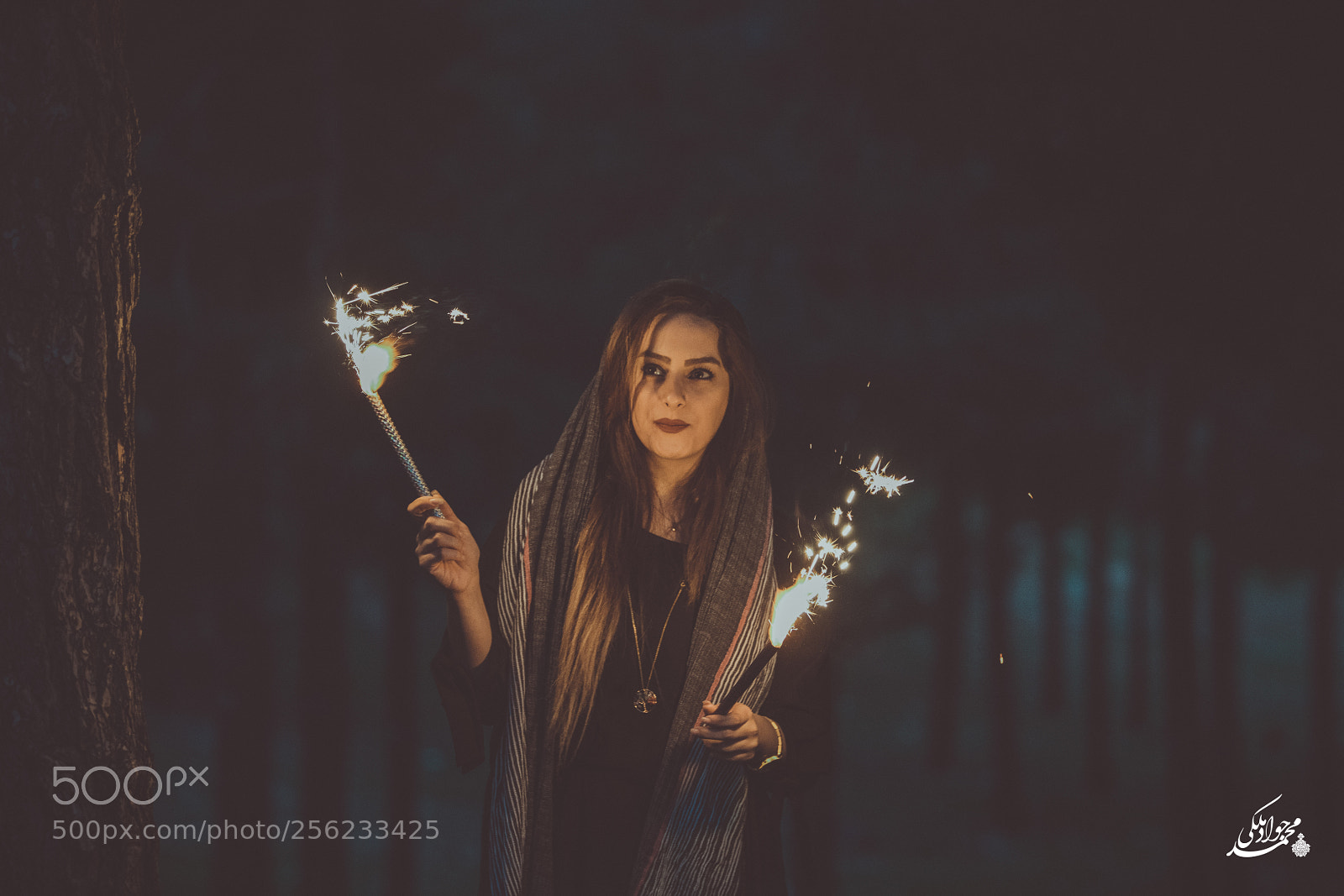 Nikon D850 sample photo. Fireworks iii photography