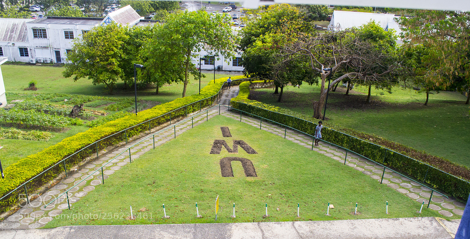 Nikon D3100 sample photo. Untitled photography