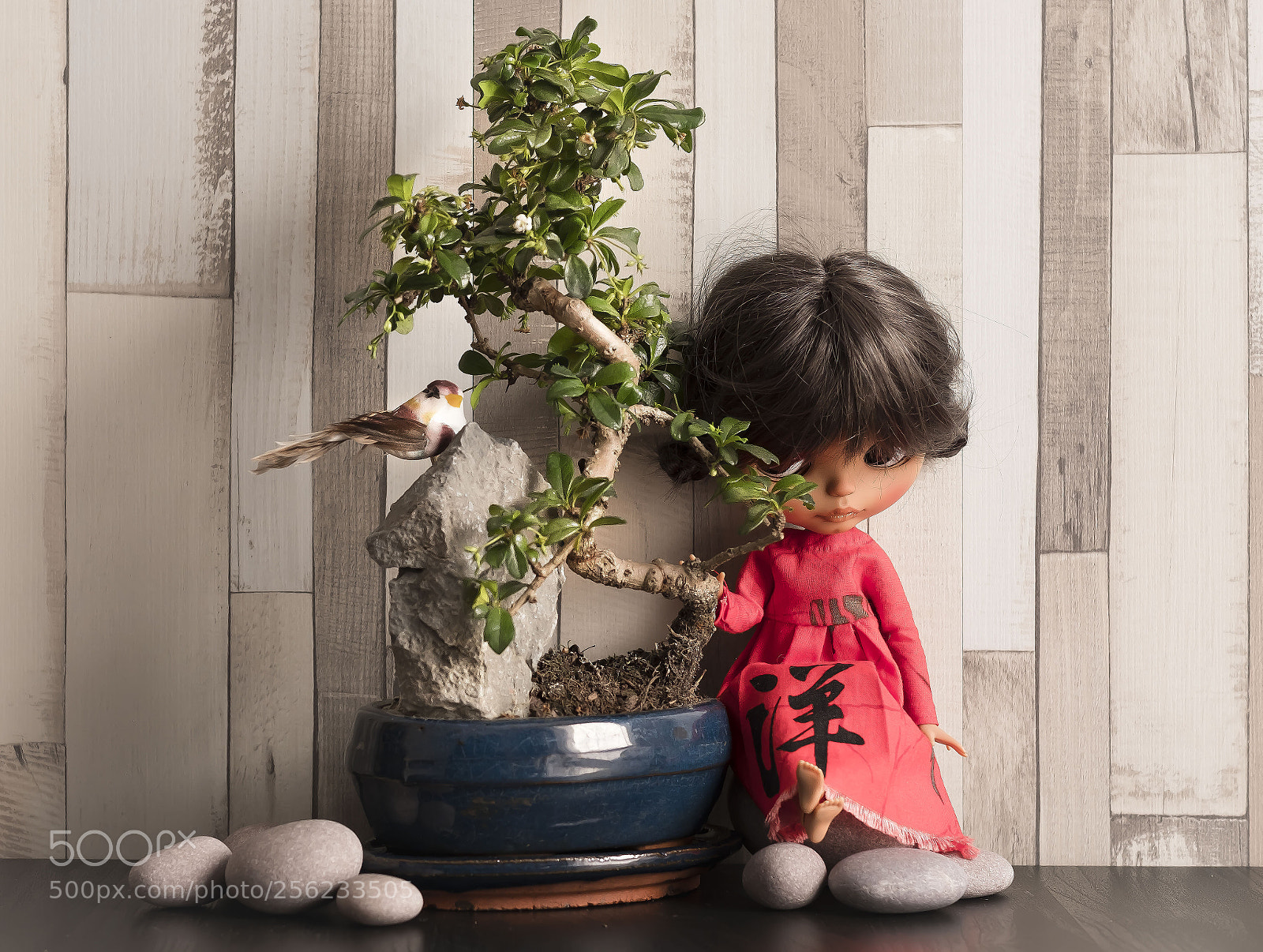 Fujifilm X-Pro2 sample photo. Untitled photography