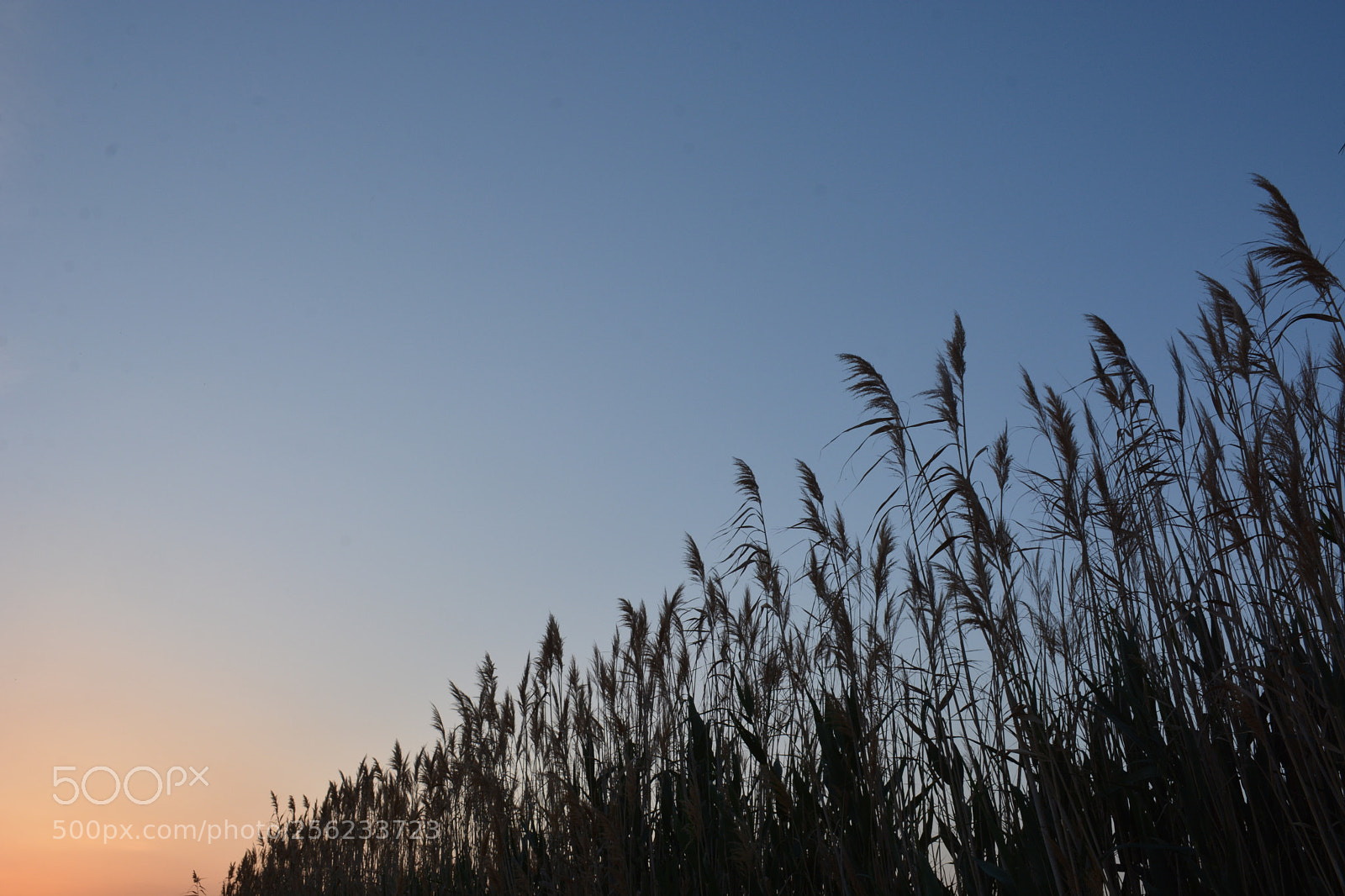 Nikon D7100 sample photo. Dusk photography