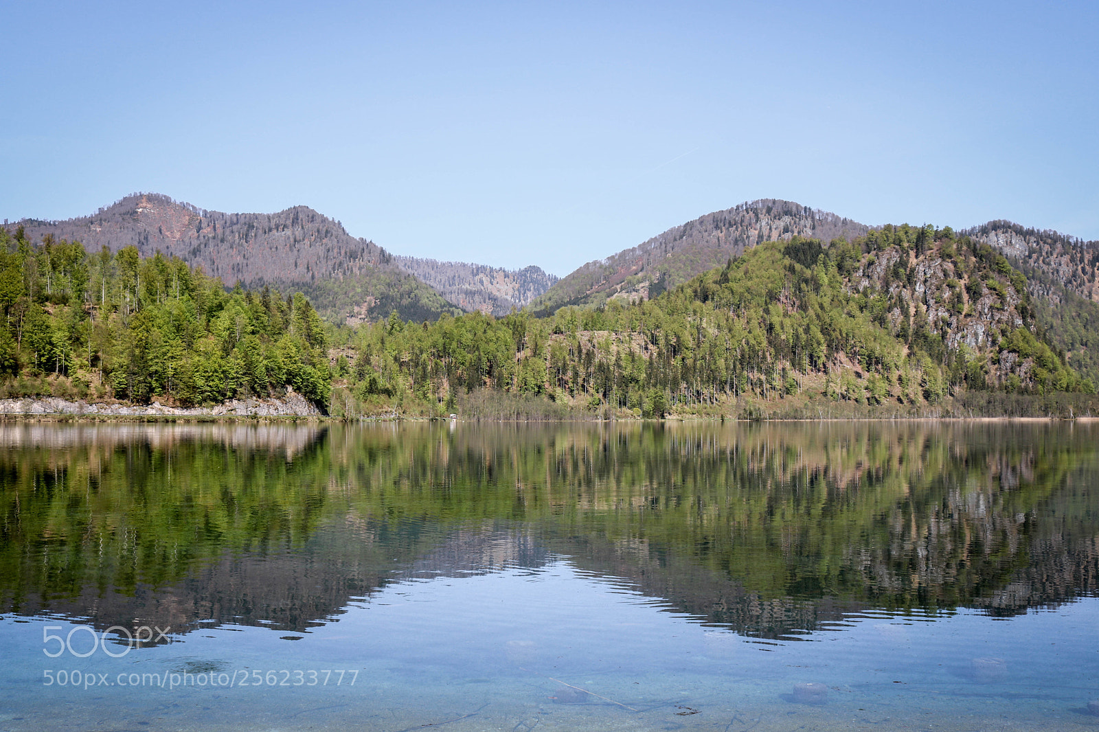 Canon EOS 750D (EOS Rebel T6i / EOS Kiss X8i) sample photo. Morgens am almsee... photography