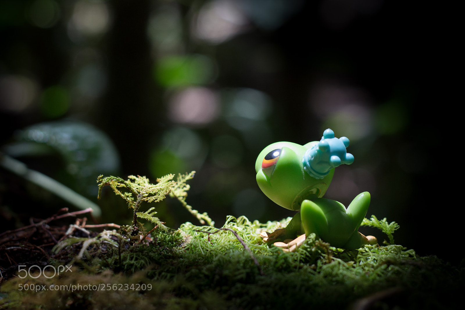 Canon EOS 700D (EOS Rebel T5i / EOS Kiss X7i) sample photo. Frog photography