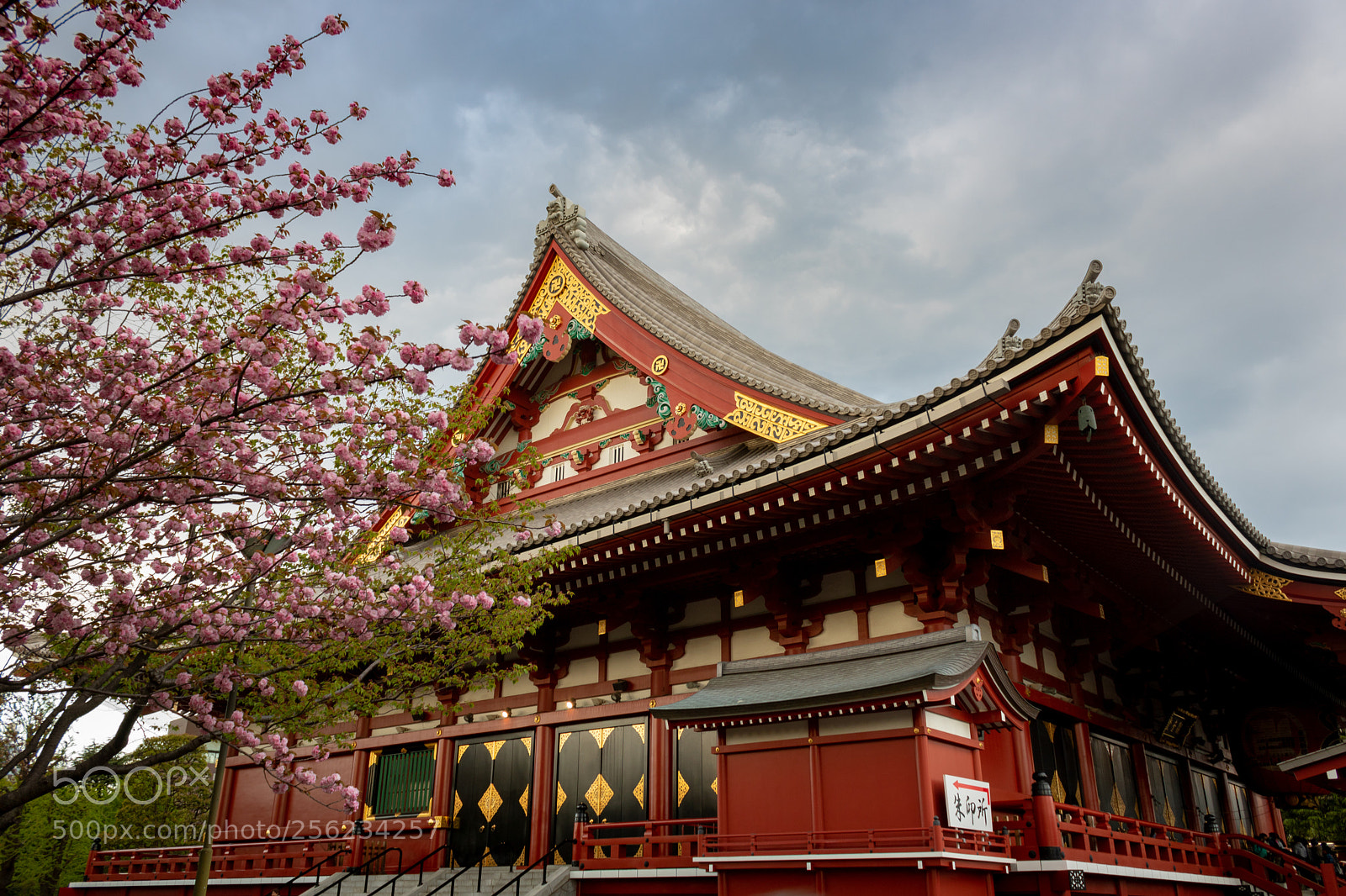 Canon EOS 750D (EOS Rebel T6i / EOS Kiss X8i) sample photo. Temple with cherrytree photography