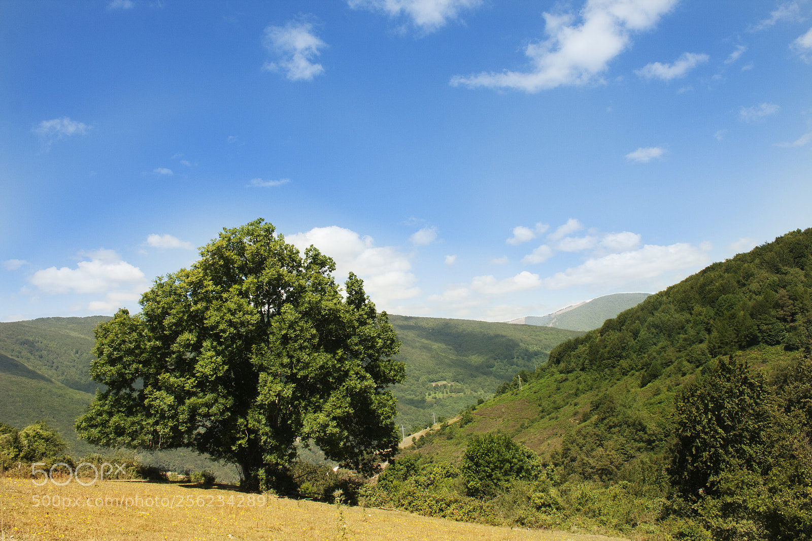 Canon EOS 40D sample photo. Viendo la naturaleza photography