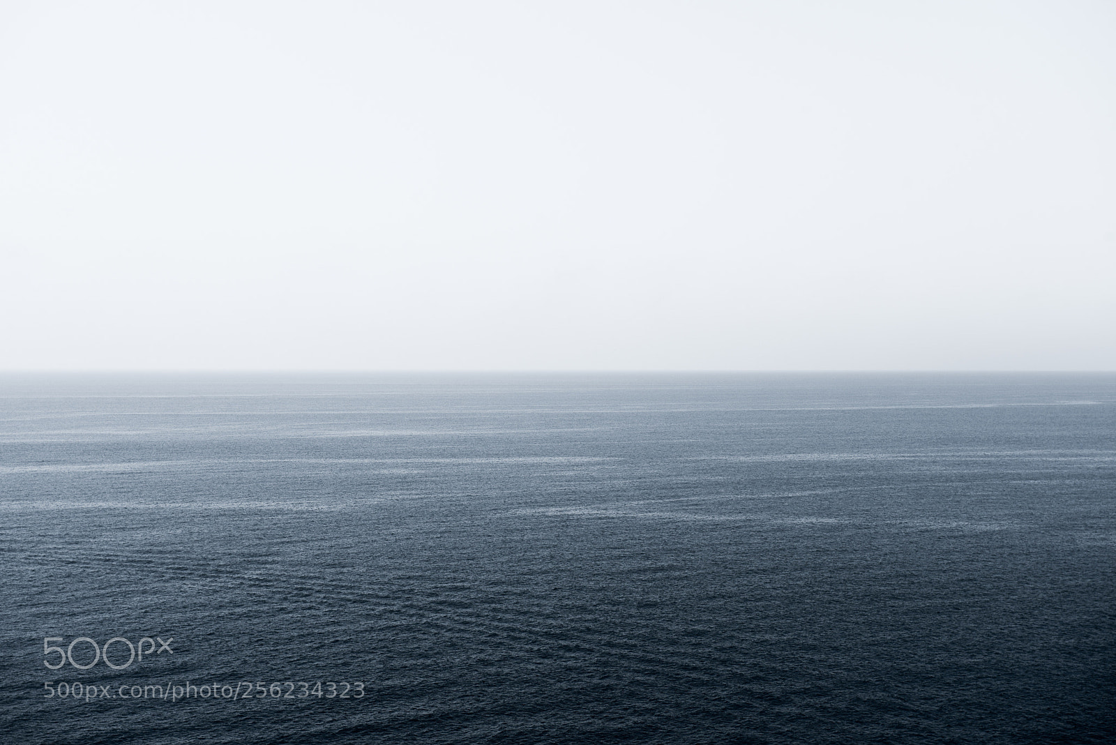 Nikon D750 sample photo. Cinque terre photography