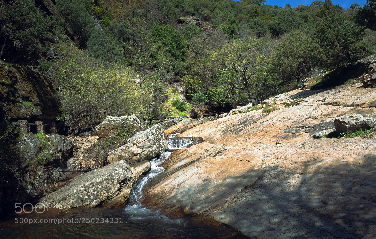 Canon EOS 40D sample photo. Abriendo camino photography