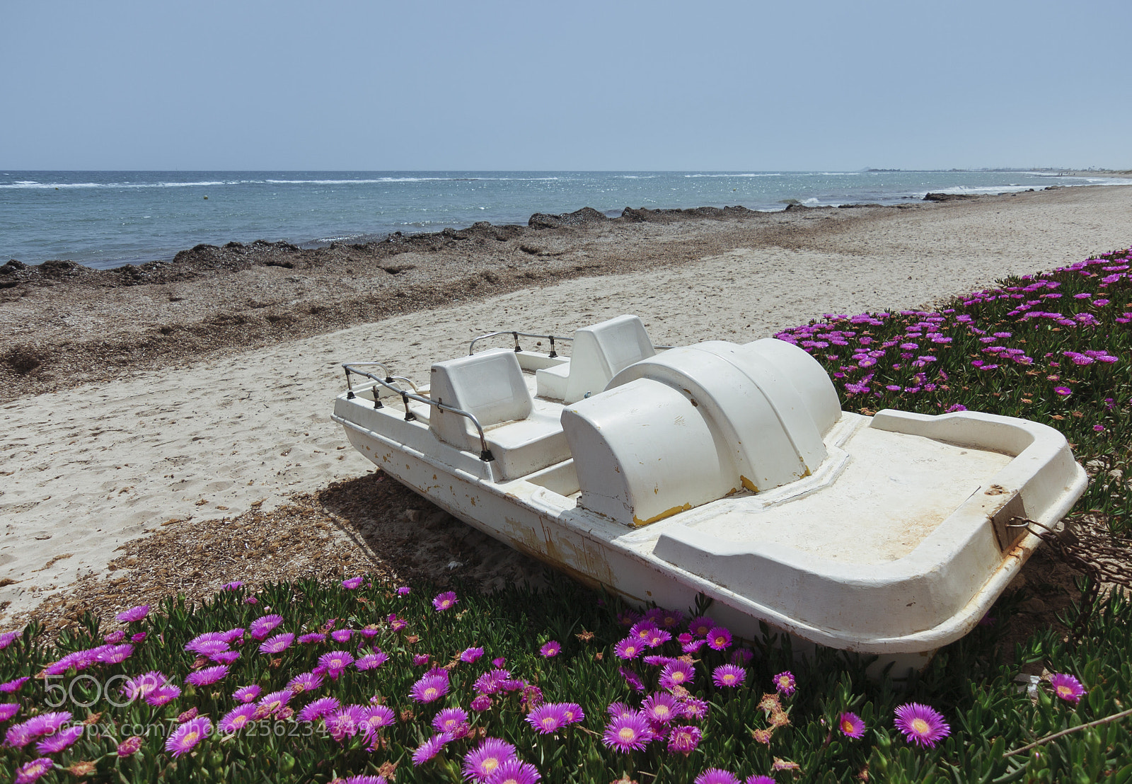 Canon EOS 40D sample photo. Descanso merecido photography