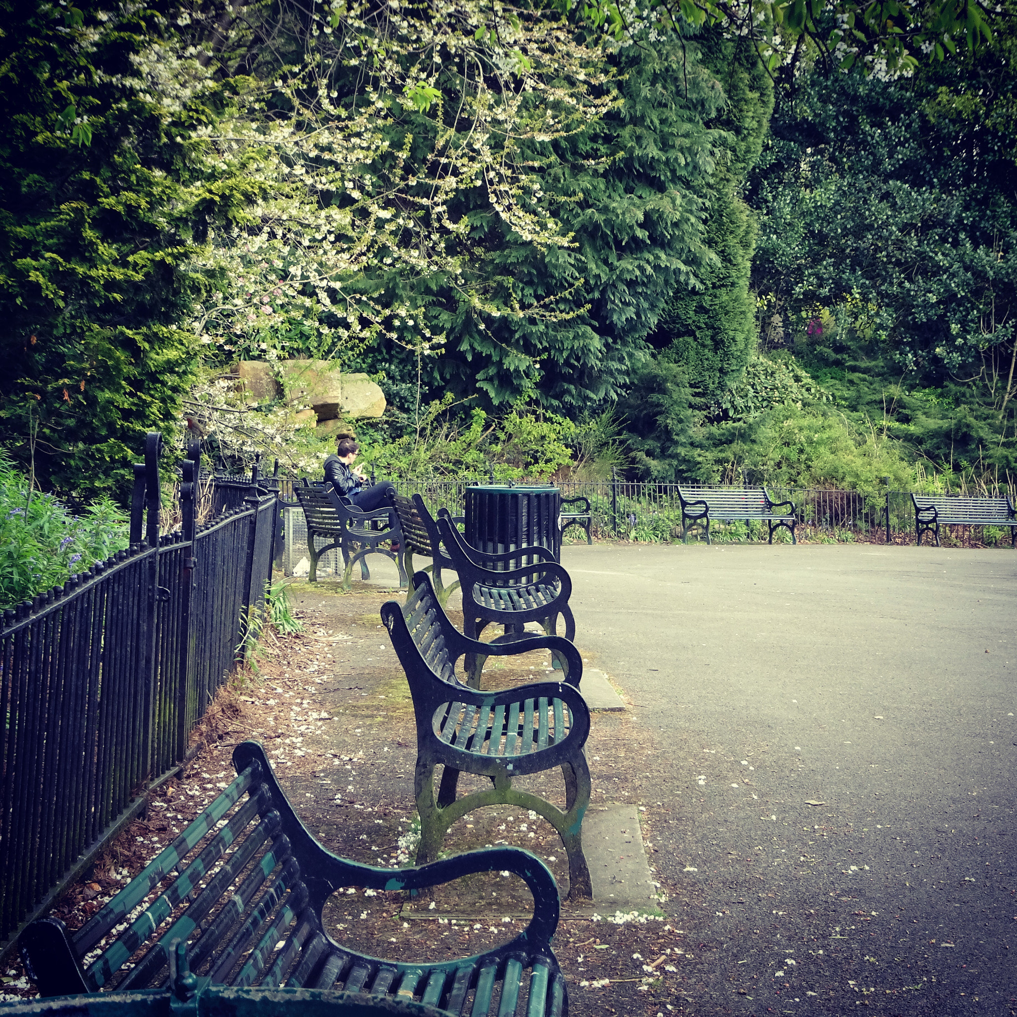 Sony DSC-HX90 sample photo. Empty benches  photography
