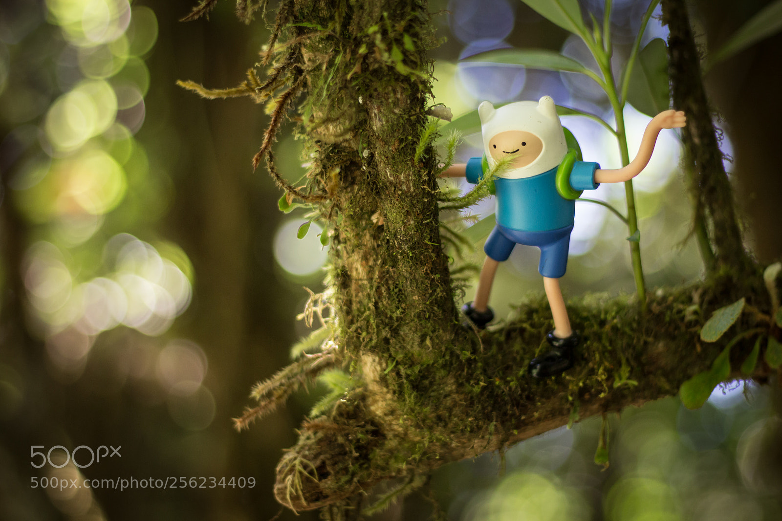 Canon EOS 700D (EOS Rebel T5i / EOS Kiss X7i) sample photo. Adventure time photography