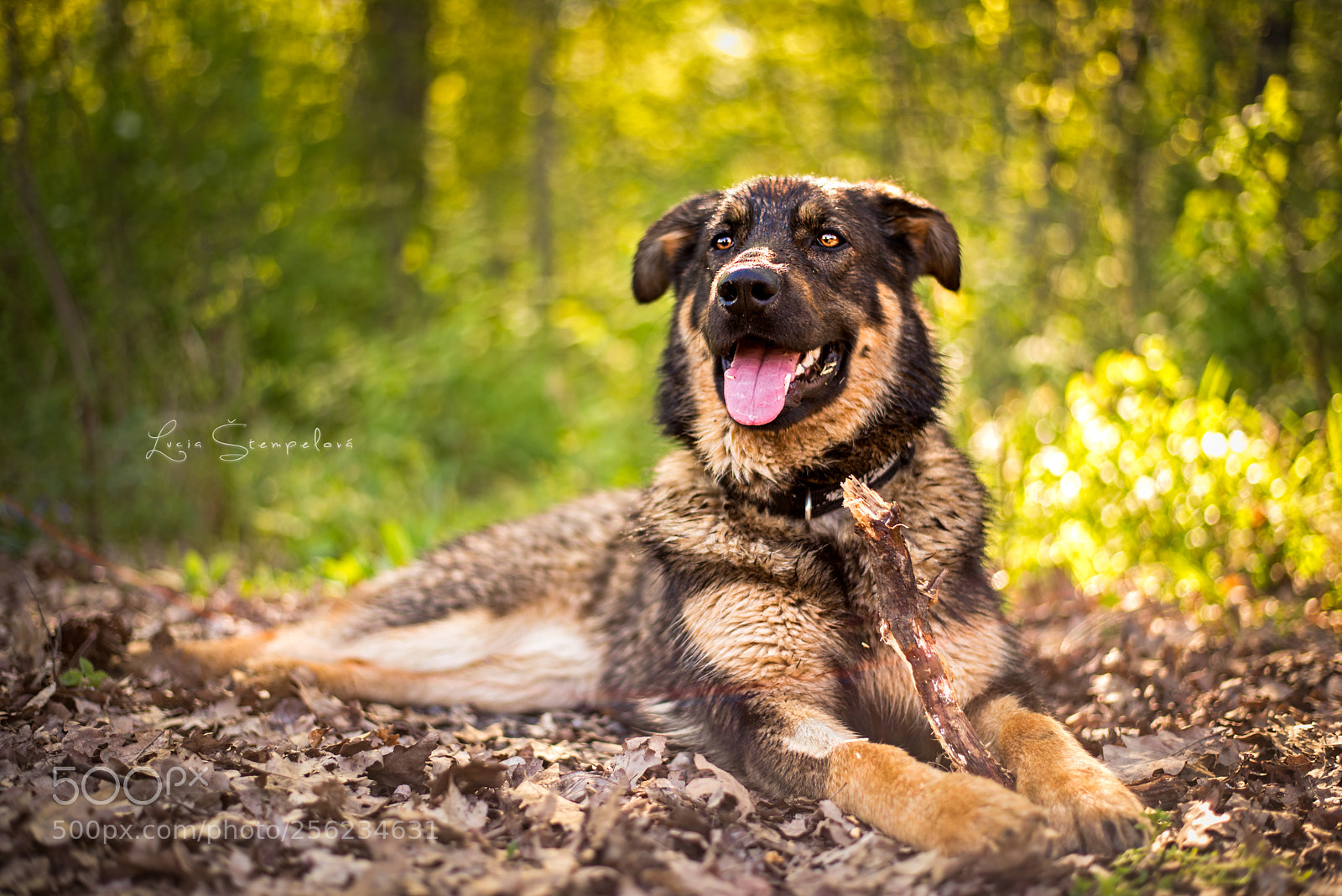 Nikon D750 sample photo. What a smile photography