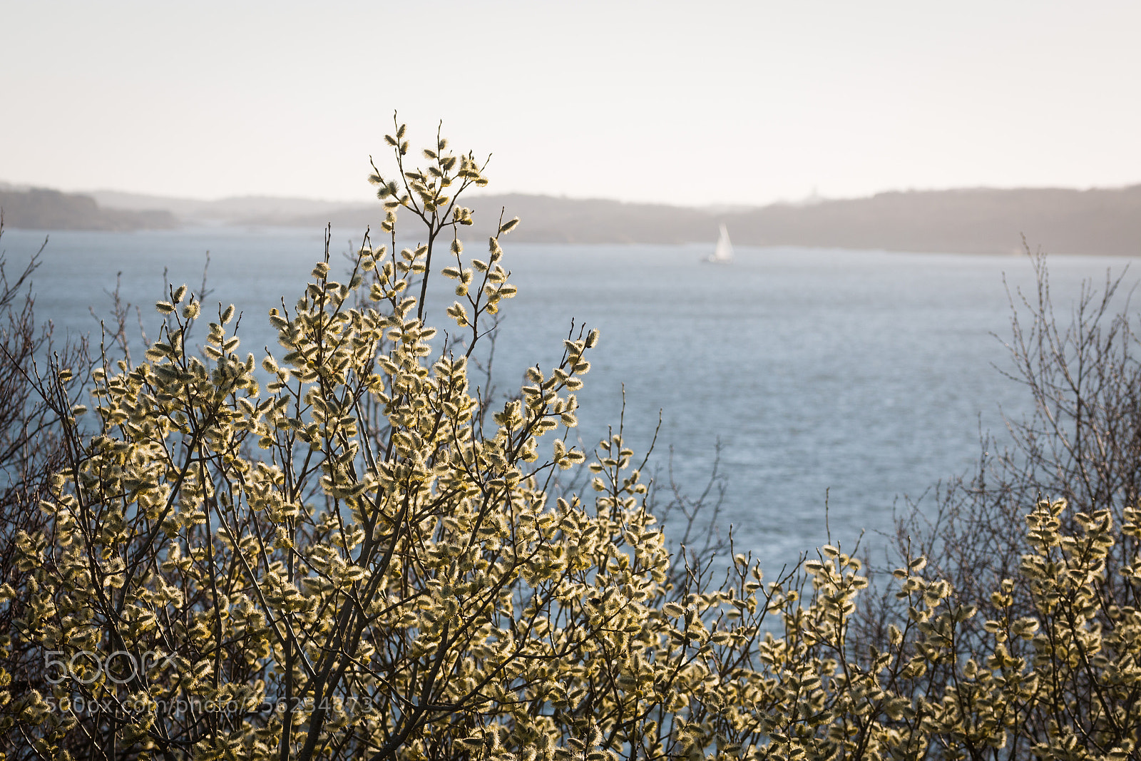 Canon EOS 70D sample photo. Springtime at the coast photography