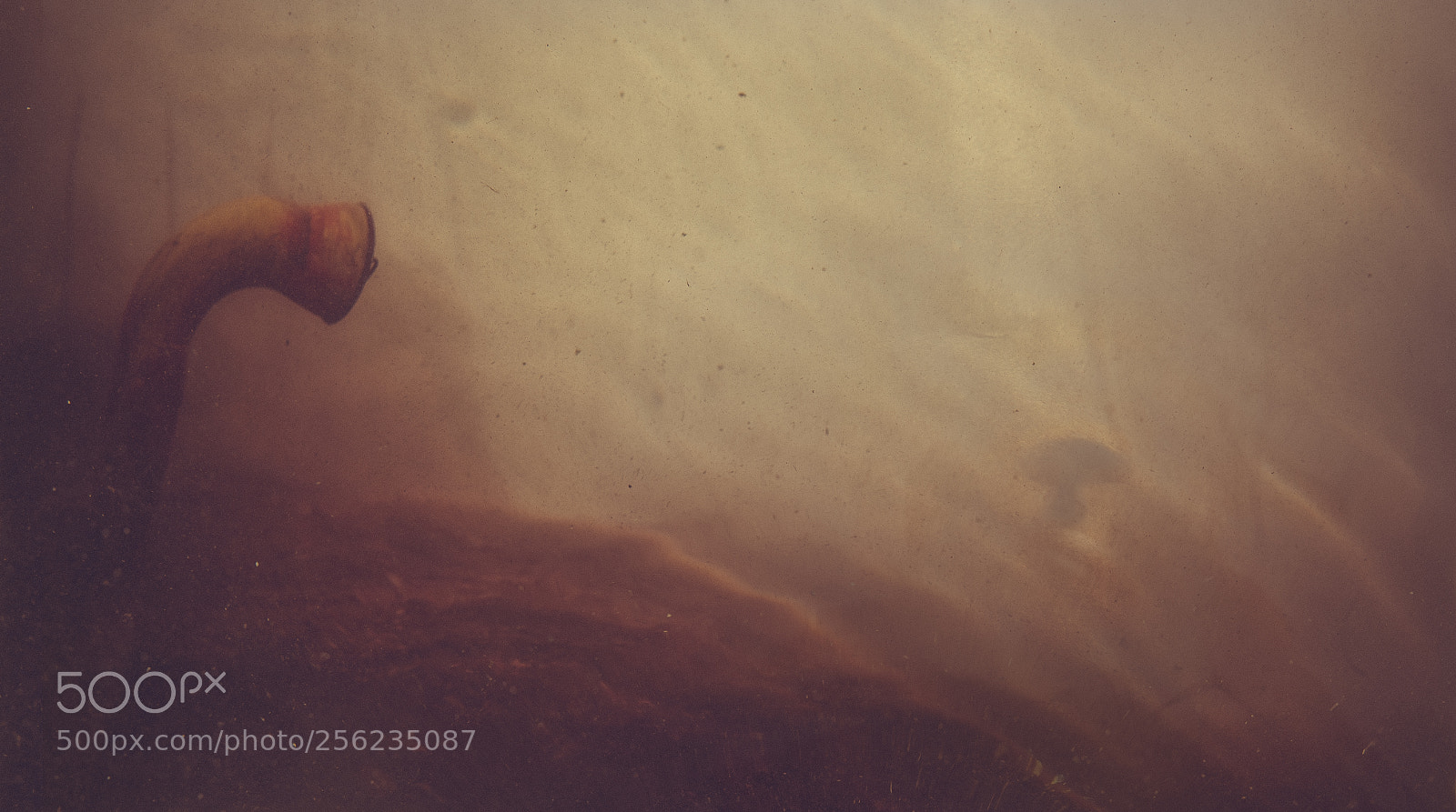 Leica SL (Typ 601) sample photo. Shapes of water photography