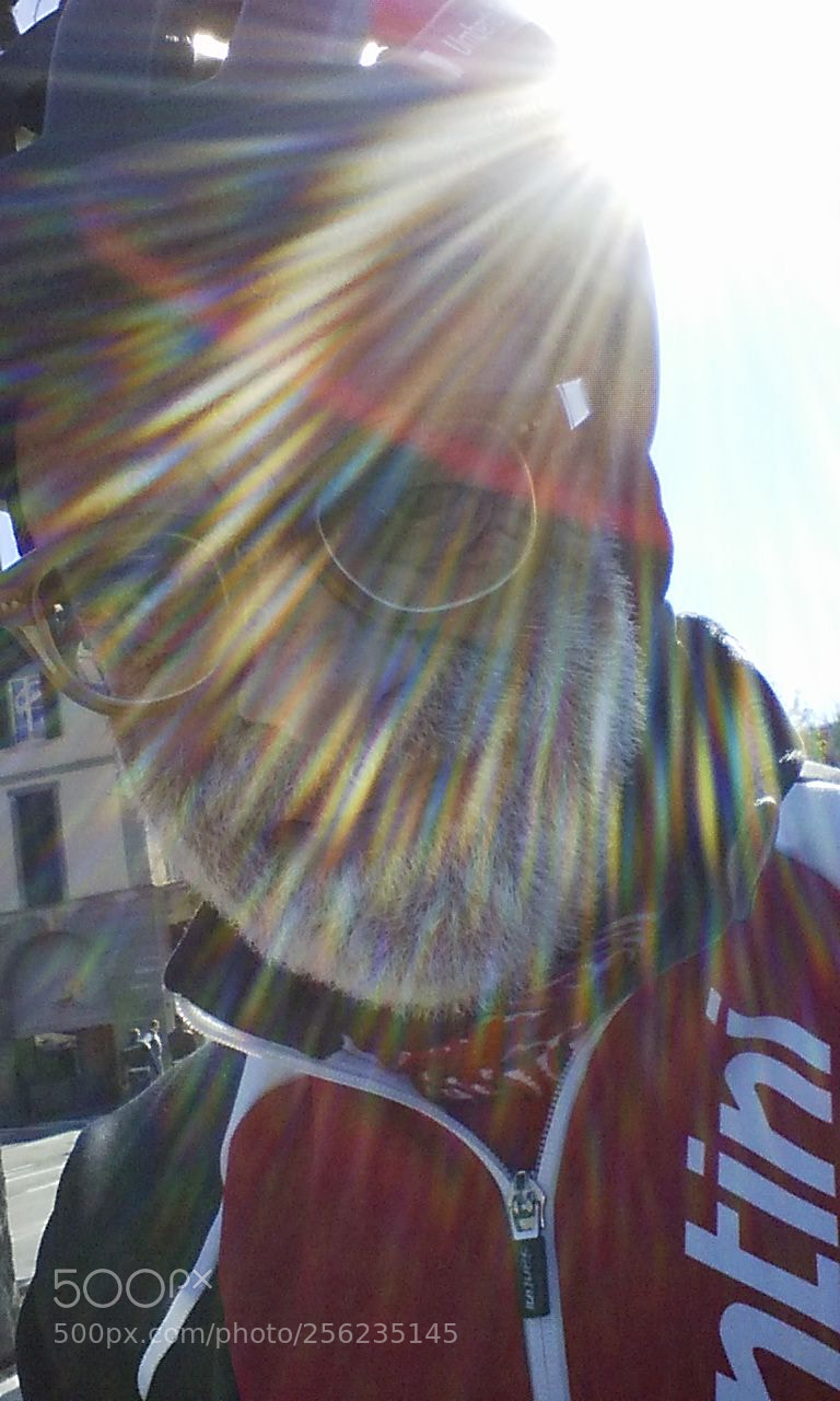 LG Nexus 5 sample photo. Sun kiss photography