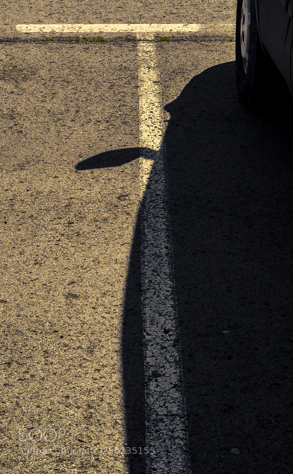 Pentax K-50 sample photo. _ photography