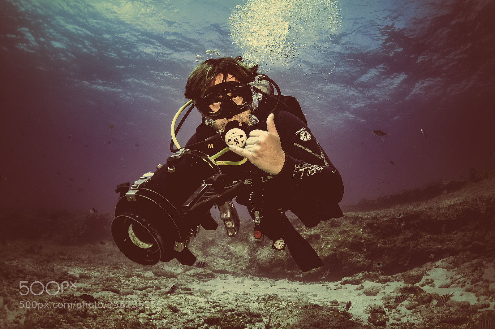 Nikon D90 sample photo. Dive!!! photography