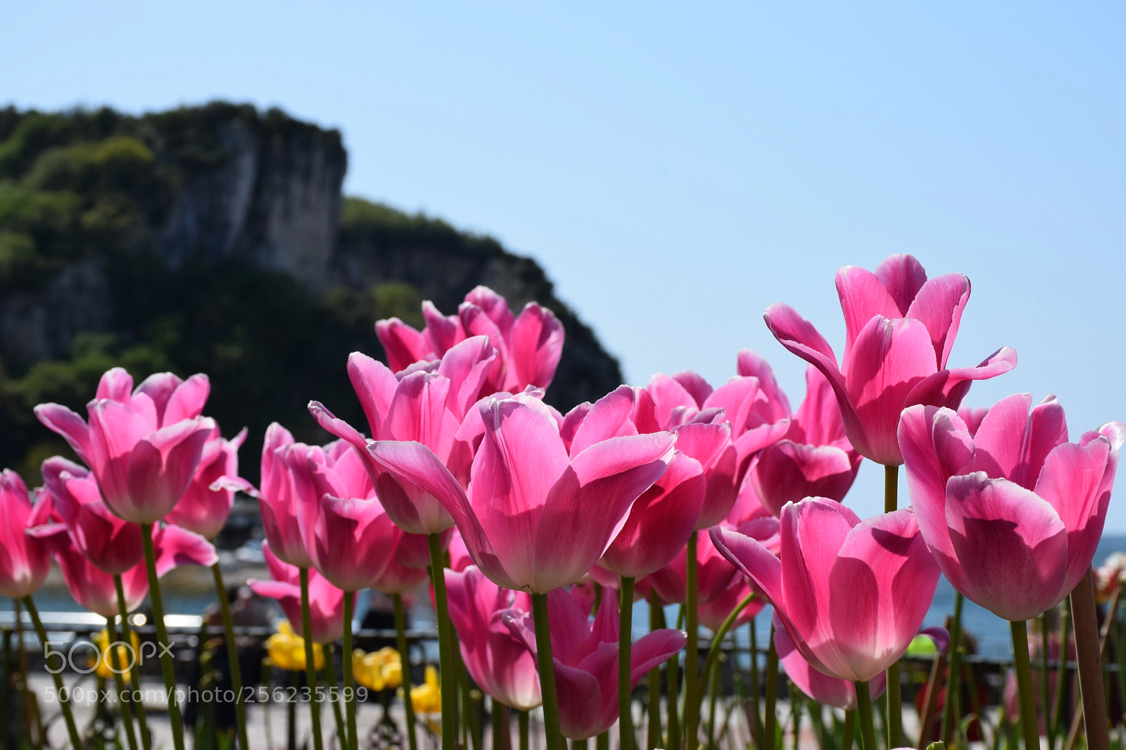 Nikon D5300 sample photo. Amasra photography