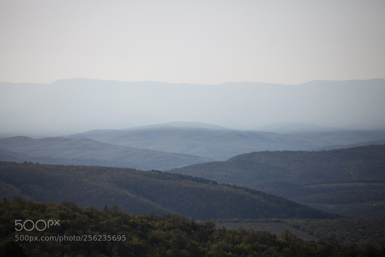 Canon EOS 5D Mark II sample photo. Dawn above the forest photography