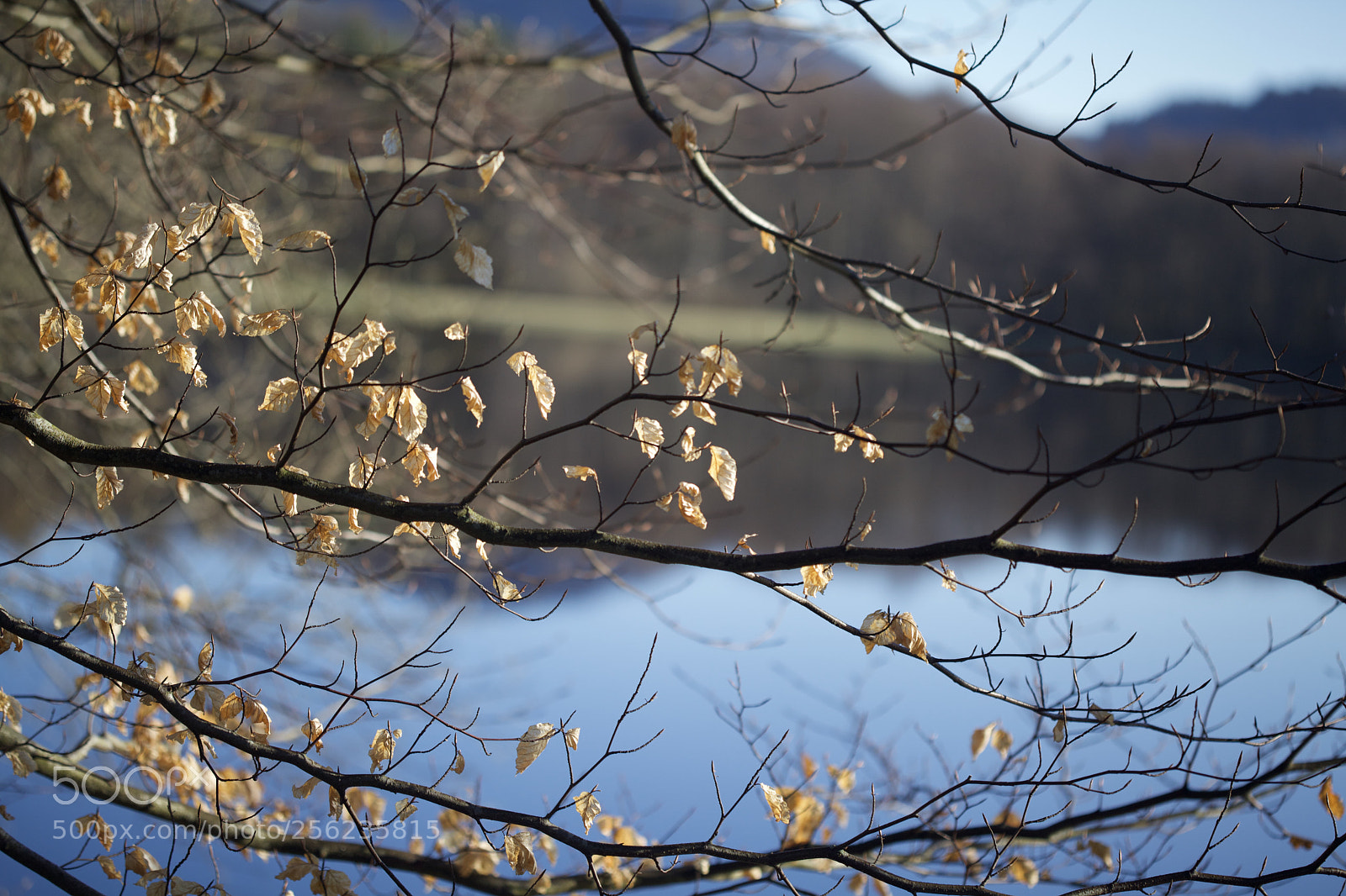 Canon EOS 5D Mark II sample photo. Veil photography